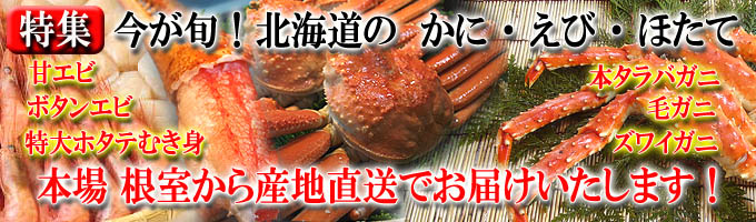 �̳�ƻ���ˡ��ܤΥ��ˡ�����ľ���Ǥ��Ϥ��������ޤ�