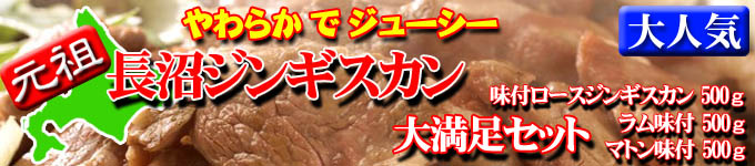 Ĺ�¥��󥮥�����̣�դ���ࡡ�ޥȥ�̣�ա�����ͥȥ���̣�ե��󥮥�����