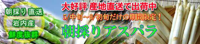 �̳�ƻ ī�Τꥢ���ѥ顡���������ټ��������㤭���㤭���ۥ磻�ȡ����꡼�󡡥����ѥ�