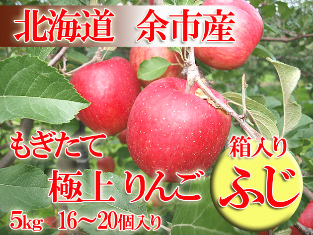 余市 ふじ 極上りんご 他では味わえない香りと甘さ!本物のりんごの味をお楽しみください!
