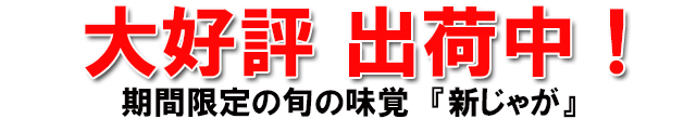 十勝池田 じゃがいも シンシア 北海道 十勝池田町から産地直送