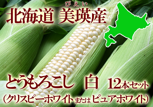 北海道 美瑛 JAびえい 白いとうもろこし ピュアホワイト クリスピーホワイト