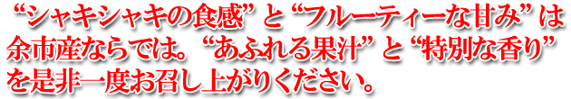 北海道 余市産 シャキシャキのりんご 香りと果汁が違います!