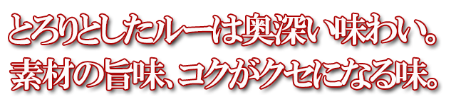 富良野ブラックカレー 野菜 5箱セット