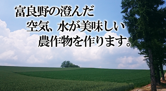 北海道 富良野 にんじんジュース 富良野産人参使用