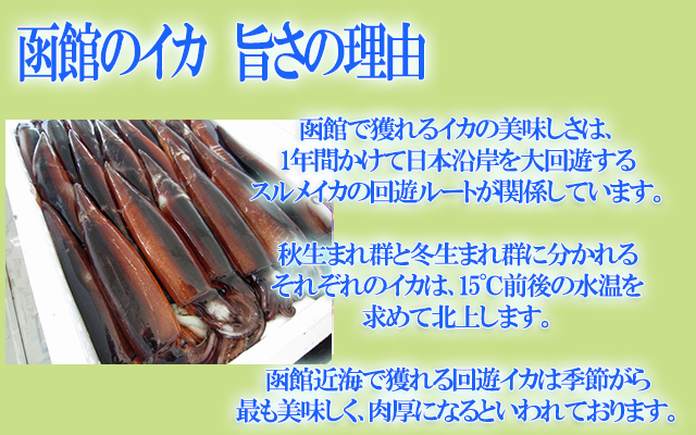北海道 函館 いかめしソーラン詰合せ