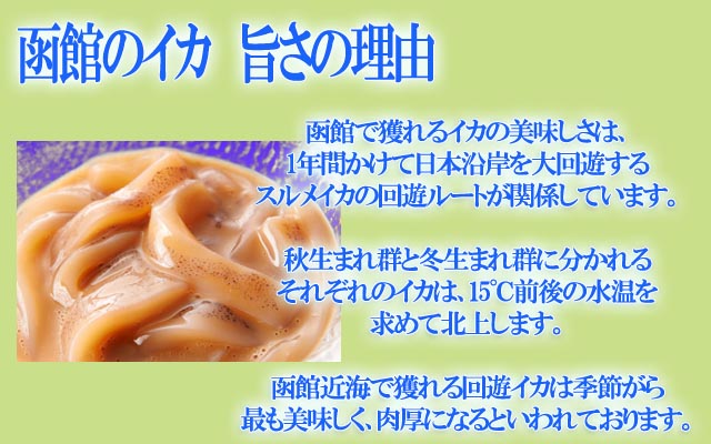 北海道 函館 一番詰合せ