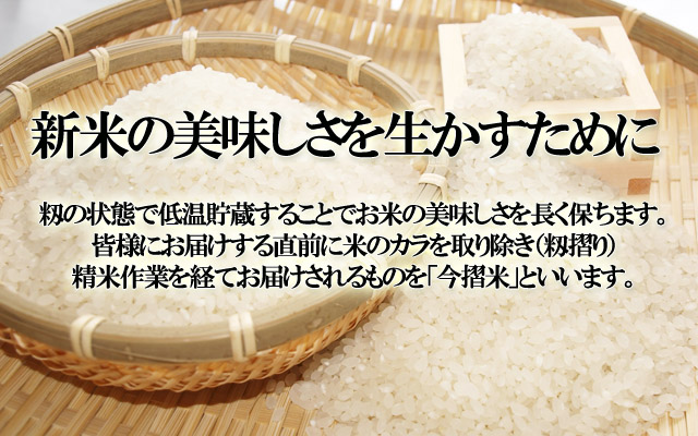 北海道 当麻町 JAとうま 今摺米 ほしのゆめ 10kg