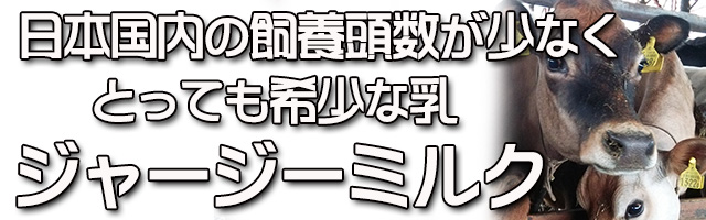 北海道 十勝 加藤牧場 ジャージー牛乳 十勝加藤牧場 濃く甘い牛乳