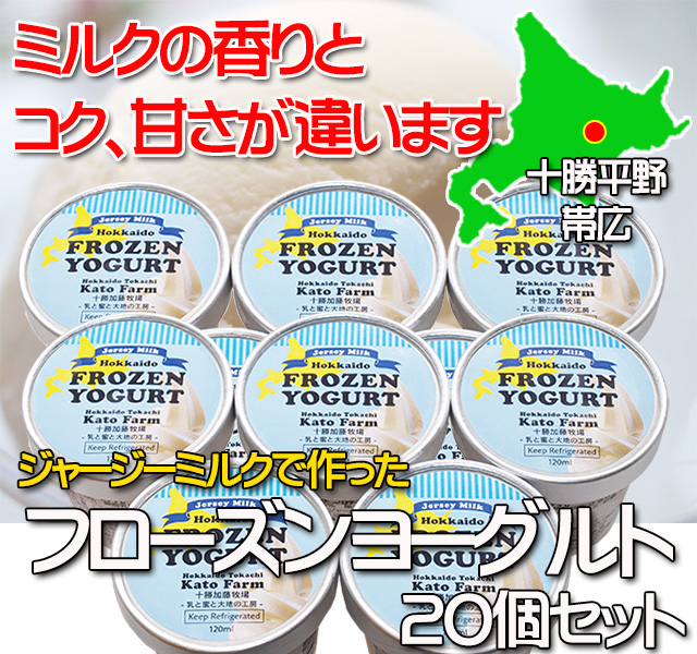 北海道 十勝ジャージー牛乳 加藤牧場 フローズンヨーグルト 20個