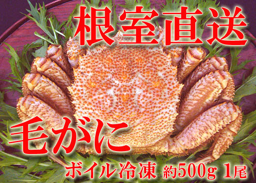 根室産の美味しい毛がに♪