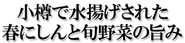 北海道 小樽で水揚げされた小樽産にしん使用 マリネ サッパリと美味しい 春にしんマリネ