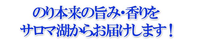 北海道 佐呂間町 サロマ湖産 素干しのり 30g(3個セット)
