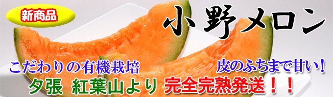 ͼĥ���ջ�������������Ű��ͭ�����ݤȴ�������ȯ��������16��ʾ塪��