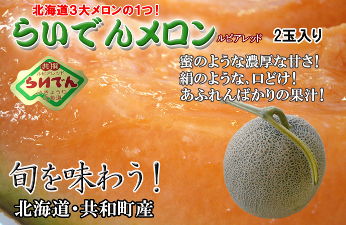 北海道共和 No.1生産量 らいでんメロン 2玉