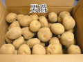 �ܾ쿿��¼�Τ��㤬������˼ߡ�M�������ʾ� 10Kg