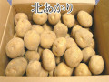 �ܾ쿿��¼�Τ��㤬������̤������M�������ʾ� 10Kg
