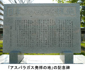 北海道岩内「日本のアスパラガス発祥の地」