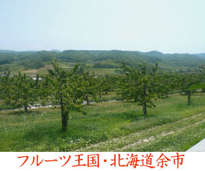 フルーツ王国余市 こだわり農園