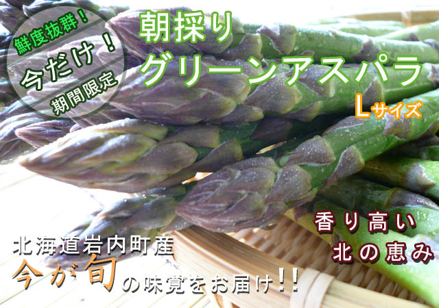 北海道岩内産 朝採りグリーンアスパラ(L)