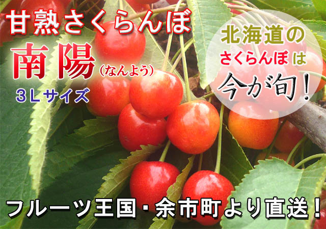 北海道余市町 甘熟さくらんぼ 南陽(3L)