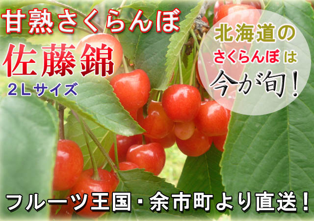 北海道余市 甘熟さくらんぼ 佐藤錦(2L)