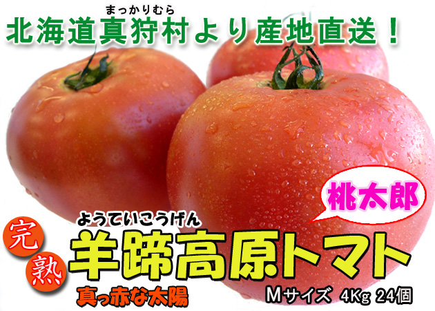 北海道真狩村 桃太郎 羊蹄高原トマト(M)