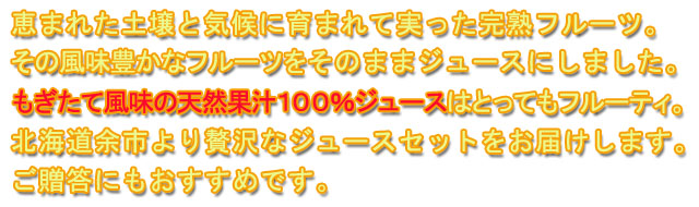 四季彩の丘 林檎果汁100%ジュース(2本セット)