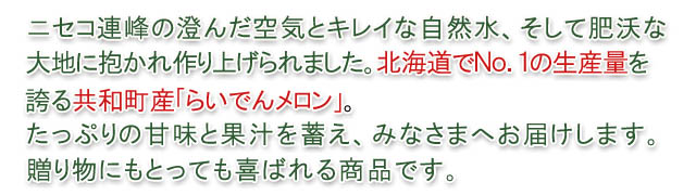甘く、とろける!旬を味わうレッドメロン!!