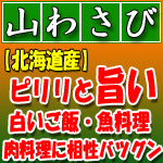 北海道の山わさび 食べる調味料