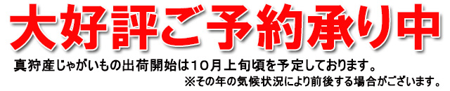 真狩 じゃがいも とうや 北海道 真狩村から産地直送