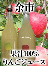 北海道　余市産りんごの果汁100％ジュース　四季彩の丘　りんごジュース