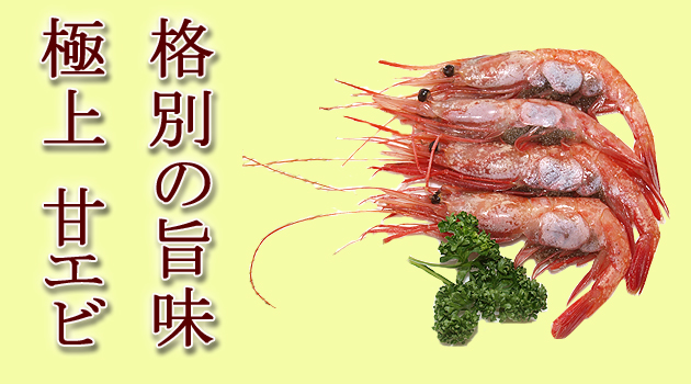 北海道名物 甘えび!