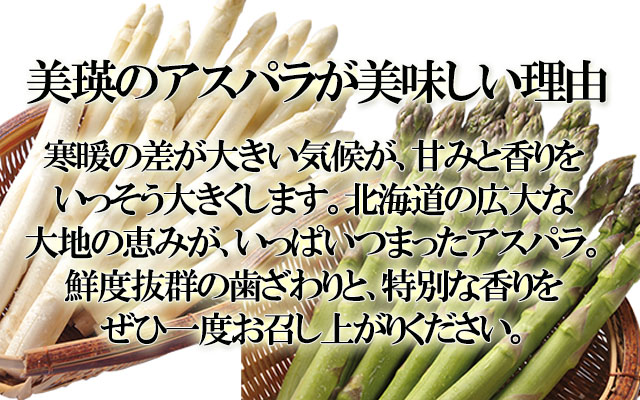 北海道 美瑛産 朝採りグリーンアスパラ シャキシャキの食感