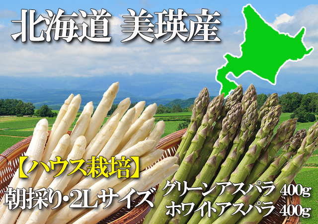北海道 美瑛産 朝採りグリーン&ホワイトアスパラ シャキシャキの食感
