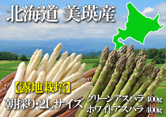 北海道 美瑛産 朝採りグリーンアスパラ シャキシャキの食感