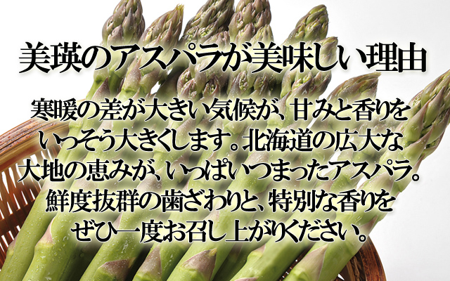 北海道 美瑛産 朝採りグリーンアスパラ シャキシャキの食感
