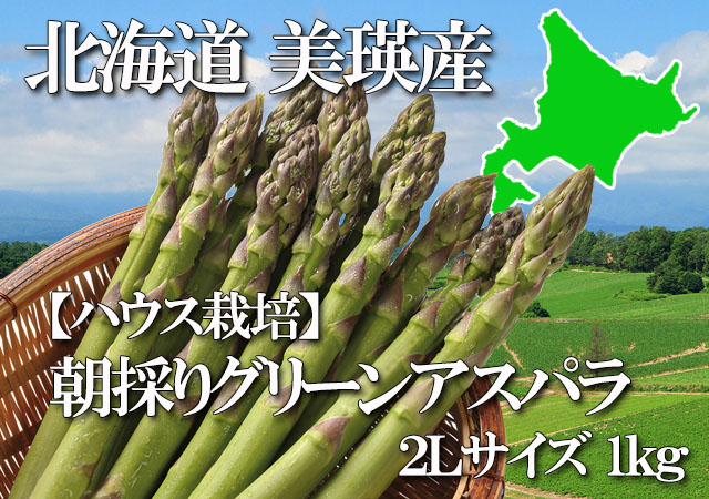 北海道 美瑛産 朝採りグリーンアスパラ シャキシャキの食感