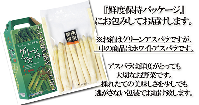 北海道 美瑛産 朝採れホワイトアスパラ シャキシャキの食感