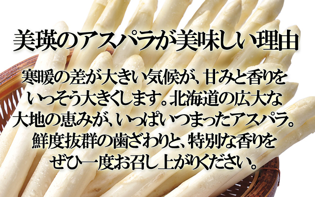 北海道 美瑛産 朝採れホワイトアスパラ シャキシャキの食感