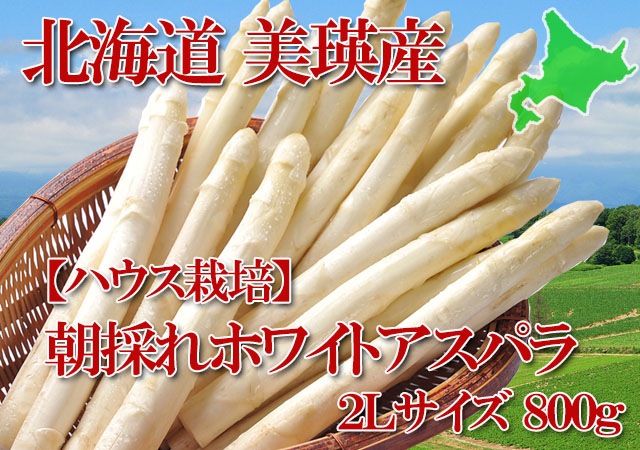 北海道 美瑛産 朝採れホワイトアスパラ シャキシャキの食感