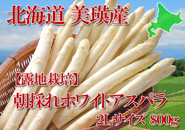 北海道 美瑛産 朝採れホワイトアスパラ シャキシャキの食感