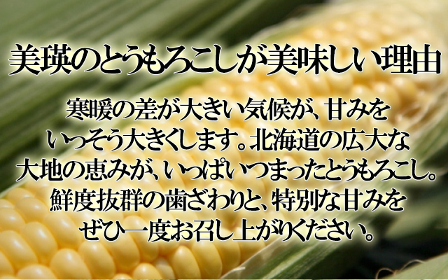 北海道 美瑛 JAびえい とうもろこし ゴールドラッシュ