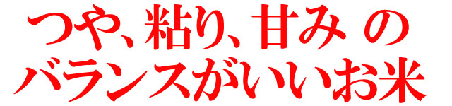 北海道米 南幌町 ななつぼし 美味しい北海道米 10kg
