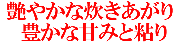 北海道米 南幌町 ゆめぴりか 美味しい北海道米 10kg
