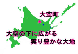 大地の輝餅 かぼちゃ 北海道 大空町 だいちのきもち