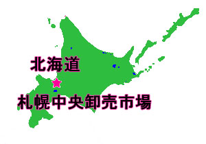 札幌中央卸売市場から直送の海の幸