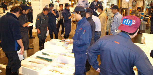 北海道 札幌中央卸売市場直送 干物セット 開ホッケ 開ニシン 宗八カレイ 開サンマ コマイ ししゃも