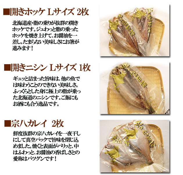 北海道 札幌中央卸売市場直送 干物セット 開ホッケ 開ニシン 宗八カレイ 開サンマ コマイ ししゃも