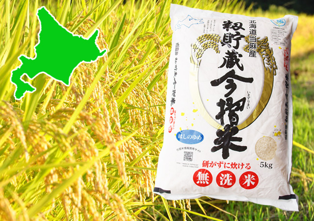 北海道　当麻町　JAとうま　今摺米　ほしのゆめ　無洗米　5kg
